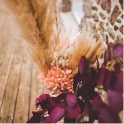 Beauty Home ΓΑΤΑΚΙΑ LAGURUS ΡΟΖ 75CM 50ΤΜΧ