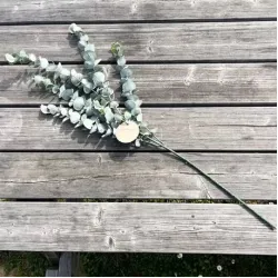 Beauty Home ΜΠΟΥΚΕΤΟ ΕΥΚΑΛΥΠΤΟΣ 83 CM Beauty Home ΜΠΟΥΚΕΤΟ ΕΥΚΑΛΥΠΤΟΣ 83 CM