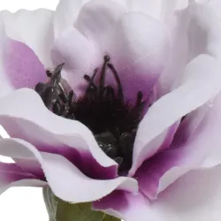 Beauty Home ΑΝΕΜΩΝΗ 57 CM