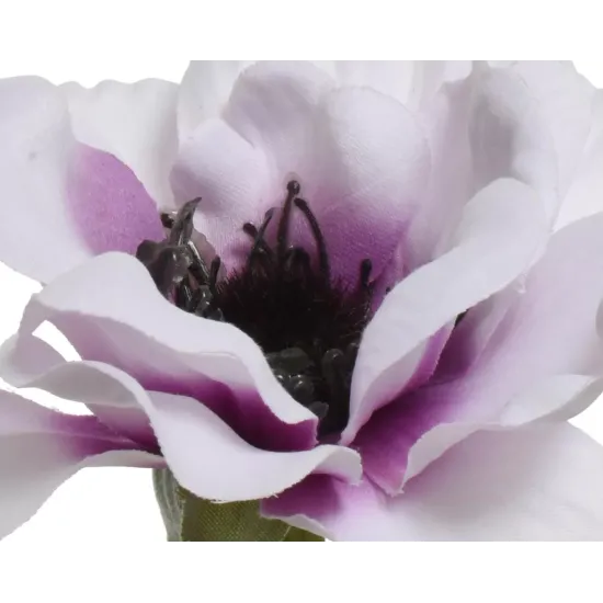 Beauty Home ΑΝΕΜΩΝΗ 57 CM