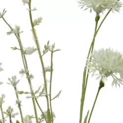 Beauty Home ΑΛΙΟΥΜ ΜΙΝΙ Beauty Home ΑΛΙΟΥΜ ΜΙΝΙ