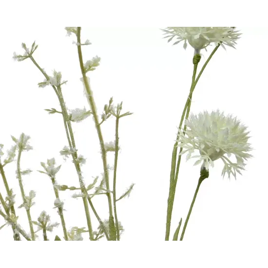 Beauty Home ΑΛΙΟΥΜ ΜΙΝΙ