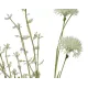 Beauty Home ΑΛΙΟΥΜ ΜΙΝΙ