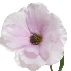 Beauty Home ΛΟΥΛΟΥΔΙ 67CM