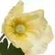Beauty Home ΠΑΠΑΡΟΥΝΑ ΚΙΤΡΙΝΗ 71 CM