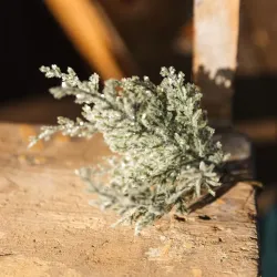 Beauty Home 4 κλαδιά έλατου πράσινα με ιριδίζον γκλίτερ 20 cm Beauty Home 4 κλαδιά έλατου πράσινα με ιριδίζον γκλίτερ 20 cm