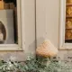 Beauty Home Μανιτάρι ξύλινο μπουκλέ μπεζ Ø7.5 x 13.5 cm
