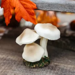 Beauty Home 3 μανιτάρια σε βάση με βρύα Ø7 x 14 cm Beauty Home 3 μανιτάρια σε βάση με βρύα Ø7 x 14 cm