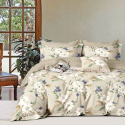 Beauty Home Σετ παπλωματοθήκη υπέρδιπλη Art 12281 Aria 230x250 Μπεζ Beauty Home Σετ παπλωματοθήκη υπέρδιπλη Art 12281 Aria 230x250 Μπεζ