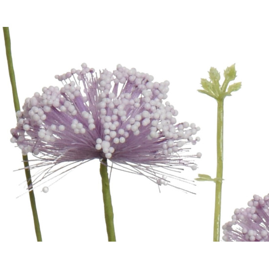 Beauty Home ΛΟΥΛΟΥΔΙ  60cm