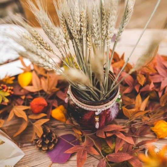 Beauty Home ΑΠΟΞΗΡΑΜΕΝΟ ΣΤΑΧΥ 70G 60CM