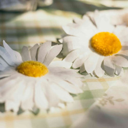 Beauty Home 2 τεχνητές μαργαρίτες Ø10cm