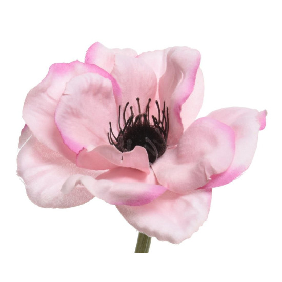 Beauty Home ΑΝΑΕΜΩΝΗ 57 CM