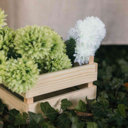 Beauty Home Ξύλινο Καφάσι 10 x 30 x 20 cm Beauty Home Ξύλινο Καφάσι 10 x 30 x 20 cm