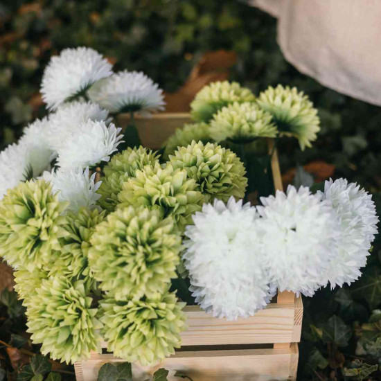 Beauty Home Ξύλινο Καφάσι 10 x 30 x 20 cm