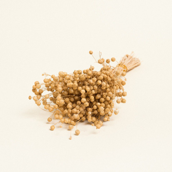 Beauty Home ΑΠΟΞΗΡΑΜΕΝΟ ΛΙΝΑΡΙ