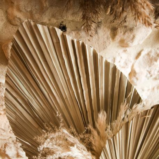 Beauty Home ΦΥΛΛΑ ΠΑΛΜΑ  60 x 30 cm