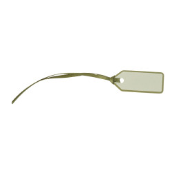 Beauty Home 10 Ετικέτες Χάρτινες με κορδέλα – Πράσινο Ευκάλυπτου 5 x 2 cm