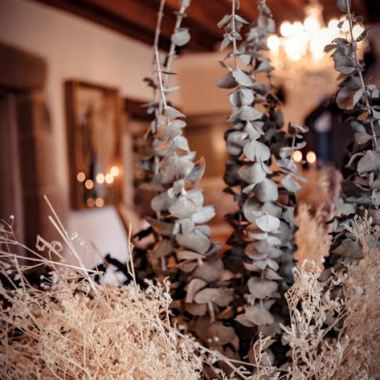 Beauty Home ΕΥΚΑΛΥΠΤΟΣ PRESERVED 70 cm