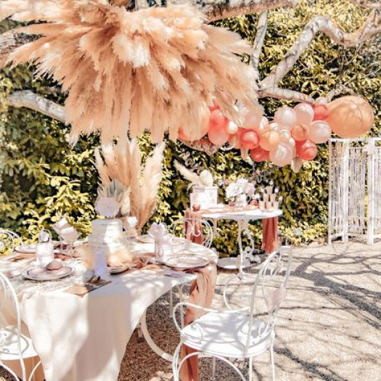 Beauty Home PAMPAS ΕΚΡΟΥ 80 CM   3 ΤΜΧ