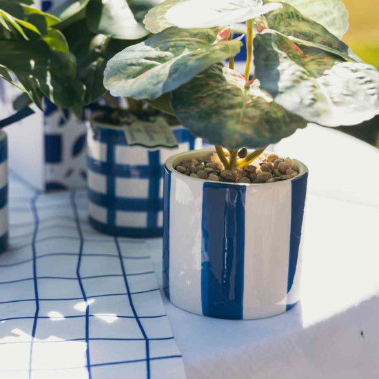 Beauty Home Τεχνητό φυτό σε κεραμική γλάστρα – Μπλε λευκή  Ø7,5x17cm