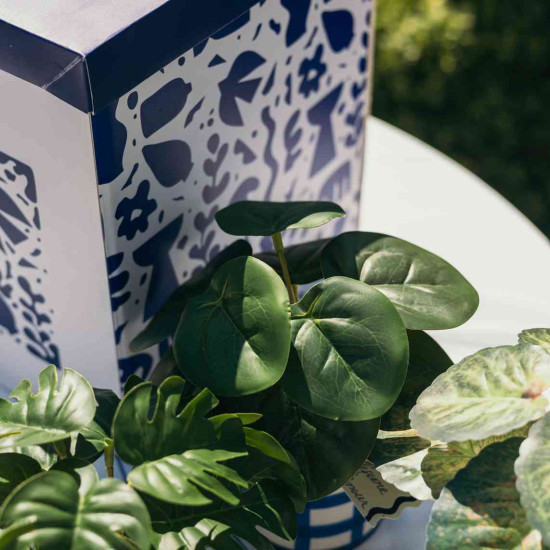 Beauty Home Τεχνητό φυτό σε κεραμική γλάστρα – Μπλε λευκή  Ø7,5x17cm