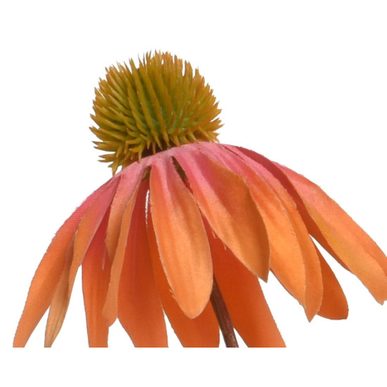 Beauty Home ΜΑΡΓΑΡΙΤΑ ΠΟΡΤΟΚΑΛΙ ΜΕ ΦΟΥΞΙΑ