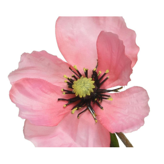 Beauty Home ΠΑΠΑΡΟΥΝΑ ΡΟΖ 71 CM