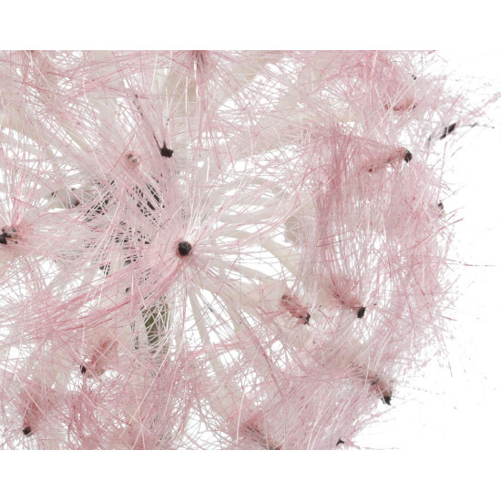 Beauty Home ΛΟΥΛΟΥΔΙ 50 CM