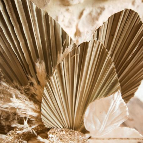 Beauty Home ΦΥΛΛΑ ΠΑΛΜΑ ΣΕΤ 3 ΤΜΧ 60 x 15 cm