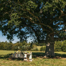 Beauty Home Βάζο γυάλινο Milo – Πορτοκαλί Ø8,5×10,5cm – 330ml