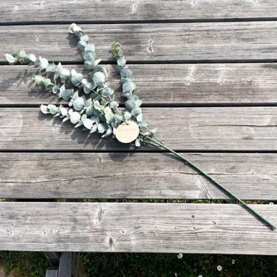 Beauty Home ΜΠΟΥΚΕΤΟ ΕΥΚΑΛΥΠΤΟΣ 83 CM