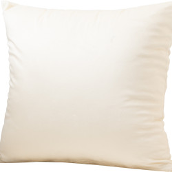 Beauty Home Μαξιλαροθήκη 45 x 45 cm Βελούδο Εκρού