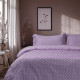 Beauty Home Σετ σεντόνια μονά Art 10101 Fancy 170x260Λιλά