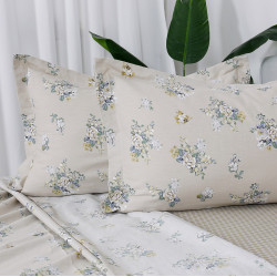 Beauty Home Σετ σεντόνια υπέρδιπλα Memories Art 12698 230x260 Μπεζ