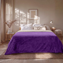 Beauty Home Κουβέρτα υπέρδιπλη διπλής όψεως Art 11601 Jacquard fleece 700gsm Fiesta Plus 220x240 Εκρού,Μωβ