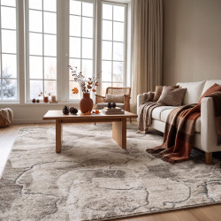 Beauty Home Χαλί Desire Art 9978 Μπεζ,Γκρι 133x190