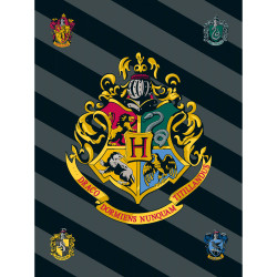 Κουβέρτα Fleece Harry Potter Γκρι  1τεμ. Κουβέρτα Fleece Harry Potter Γκρι  1τεμ.