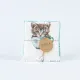 Ποτηρόπανα Κουζίνας KittenCup Σετ 2ΤΜΧ Διάφορα χρώματα  1τεμ.