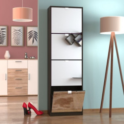 Παπουτσοθήκες