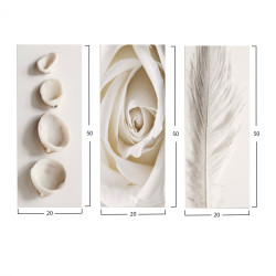 Πινακασ τριπτυχο mdf natural elements hm7204.05 60x0,3x50 εκ. ** Πινακασ τριπτυχο mdf natural elements hm7204.05 60x0,3x50 εκ. **