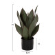 Διακοσμητικο συνθετικο φυτο hm7996 πλατυφυλλη σανσεβιερια σε γλαστρα φ14x12-51υεκ. ** Διακοσμητικο συνθετικο φυτο hm7996 πλατυφυλλη σανσεβιερια σε γλαστρα φ14x12-51υεκ. **