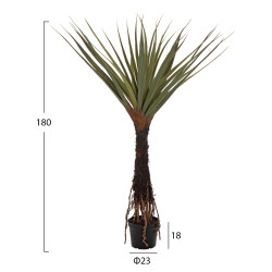Διακοσμητικο συνθετικο φυτο hm7988 δεντρο sisal σε γλαστρα φ23x18-180υεκ. ** Διακοσμητικο συνθετικο φυτο hm7988 δεντρο sisal σε γλαστρα φ23x18-180υεκ. **