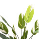 Διακοσμητικο συνθετικο φυτο hm7997 calathea σε γλαστρα 140υεκ. **