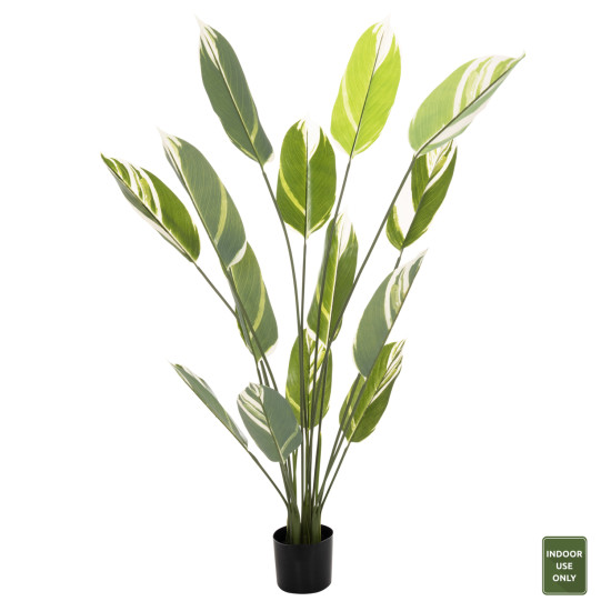 Διακοσμητικο συνθετικο φυτο hm7997 calathea σε γλαστρα 140υεκ. **