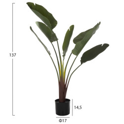 Διακοσμητικο συνθετικο φυτο hm7981 στρελιτσια σε γλαστρα φ17x14,5-137y εκ. ** Διακοσμητικο συνθετικο φυτο hm7981 στρελιτσια σε γλαστρα φ17x14,5-137y εκ. **