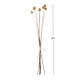 DECORATIVE DRIED BOUQUET CRASPEDIA GLOBOSA HM7956 YELLOW 63Hcm. **
