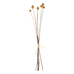 Διακοσμητικο αποξηραμενο μπουκετο craspedia globosa hm7956 κιτρινο 63υεκ. **