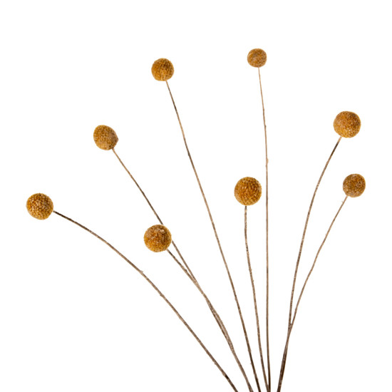 DECORATIVE DRIED BOUQUET CRASPEDIA GLOBOSA HM7956 YELLOW 63Hcm. **