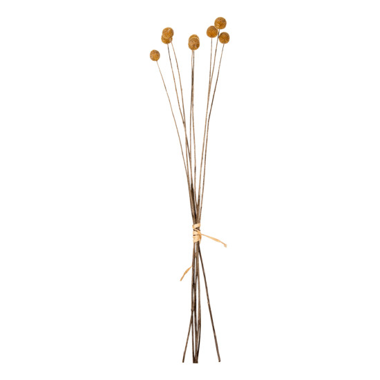 DECORATIVE DRIED BOUQUET CRASPEDIA GLOBOSA HM7956 YELLOW 63Hcm. **